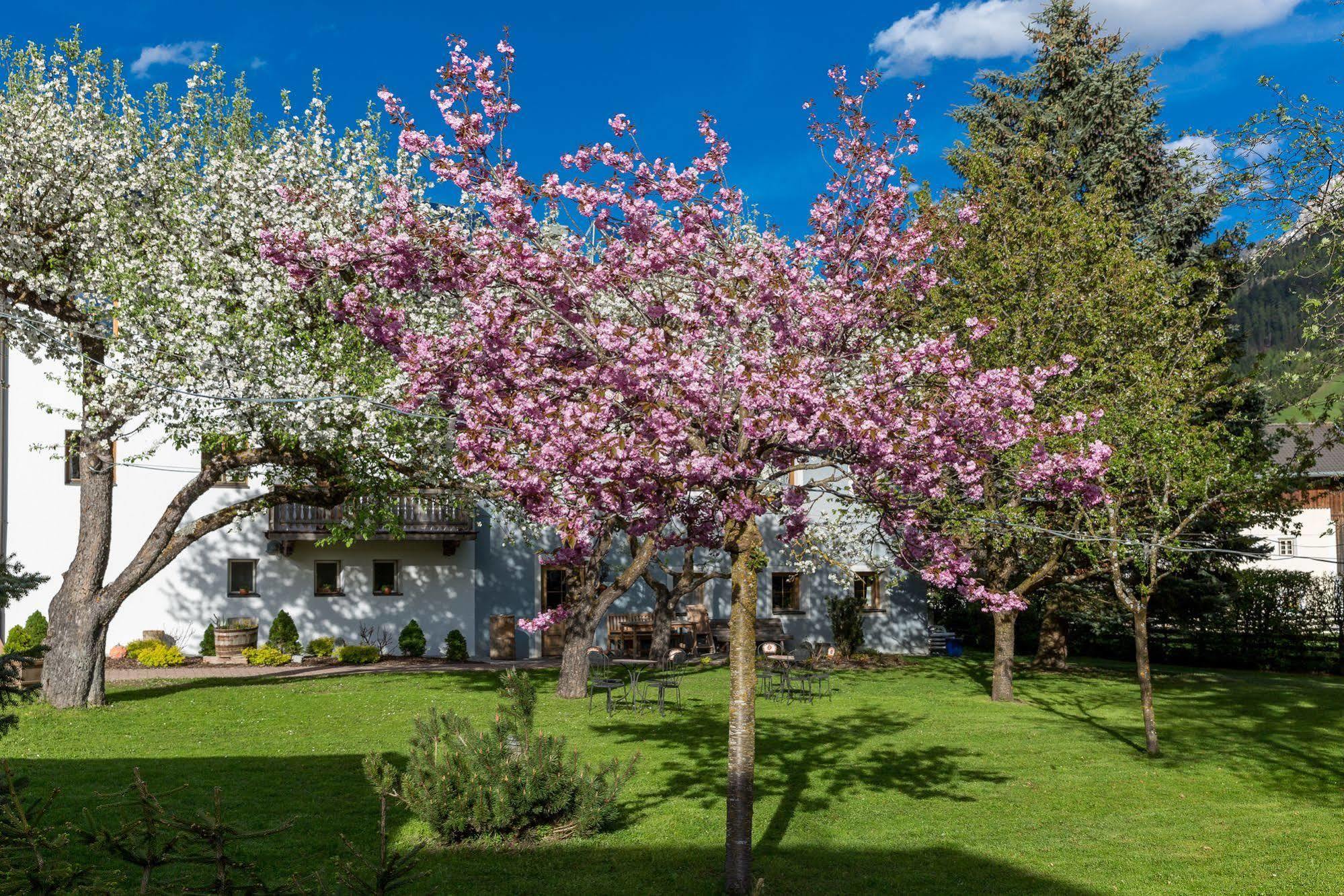 Residence Mitterdorfer Abfaltersbach Buitenkant foto